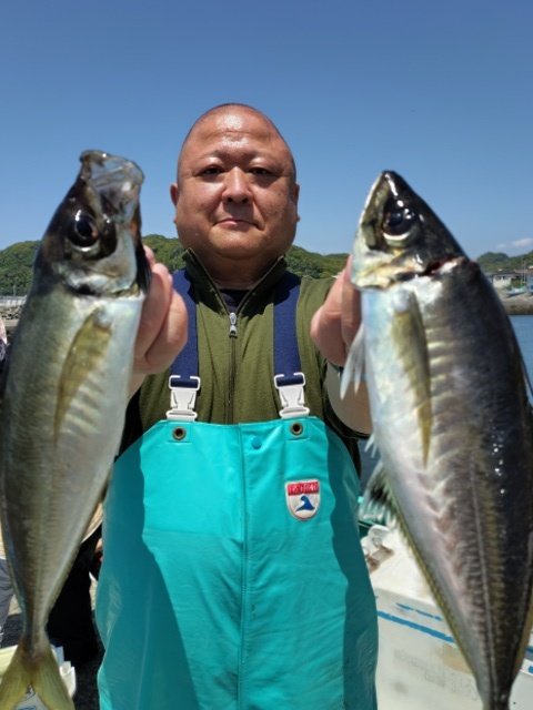 アジ(マアジ)