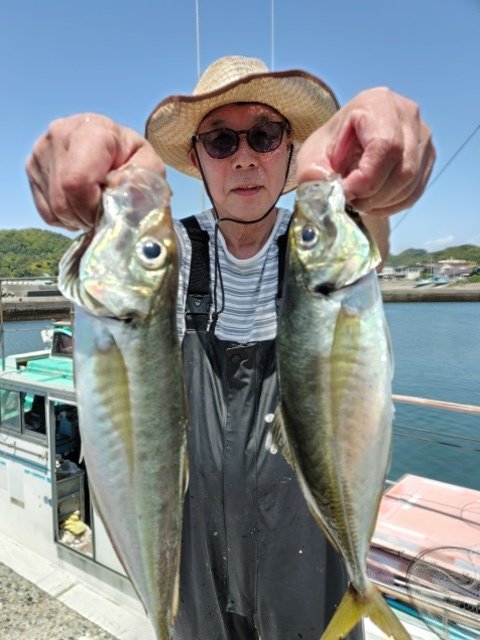 アジ(マアジ)