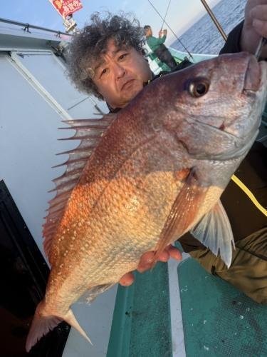 マダイ