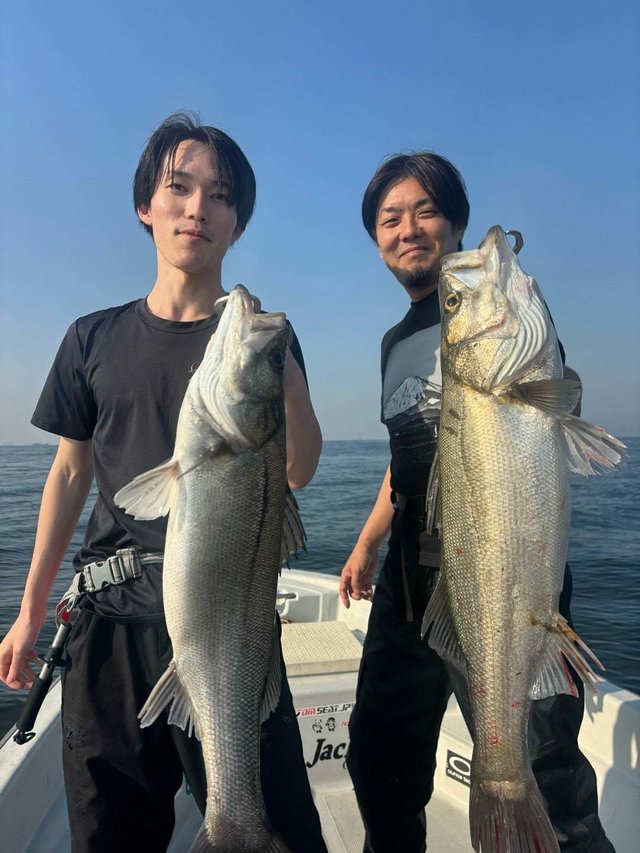 シーバス(スズキ)