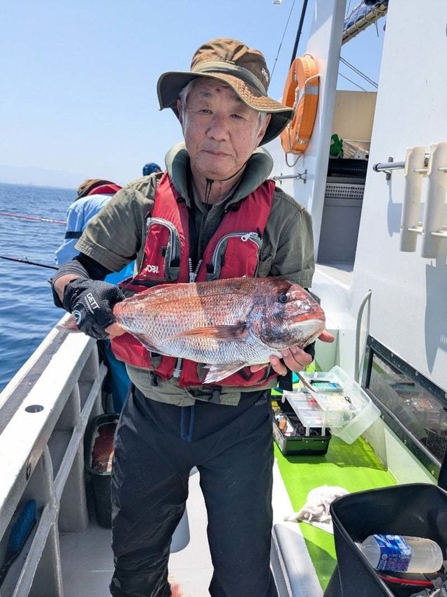 マダイ