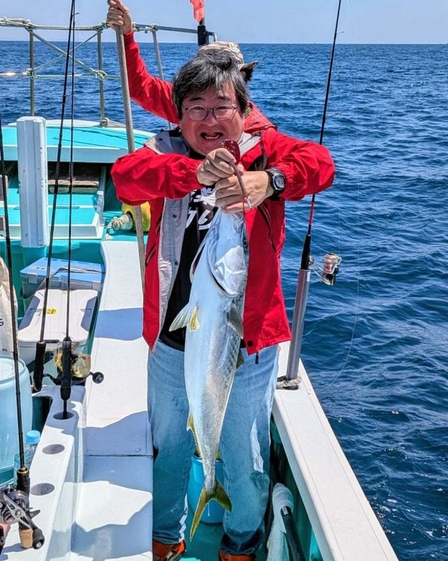 ブリ