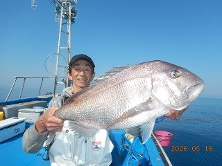 マダイ