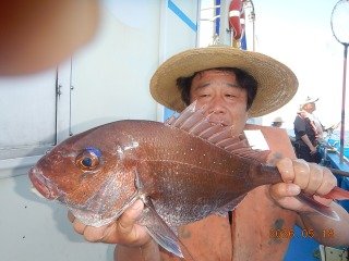 マダイ