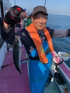 アジ(マアジ)
