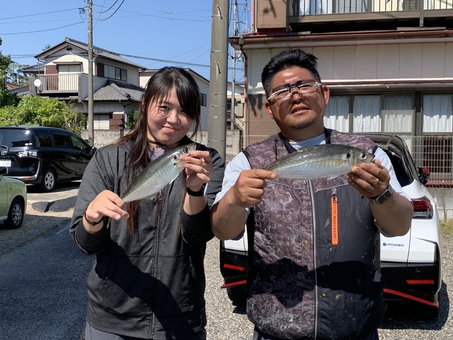 アジ(マアジ)