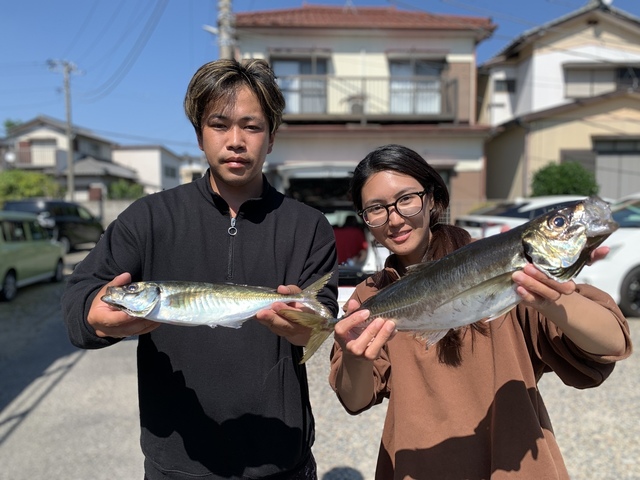 アジ(マアジ)