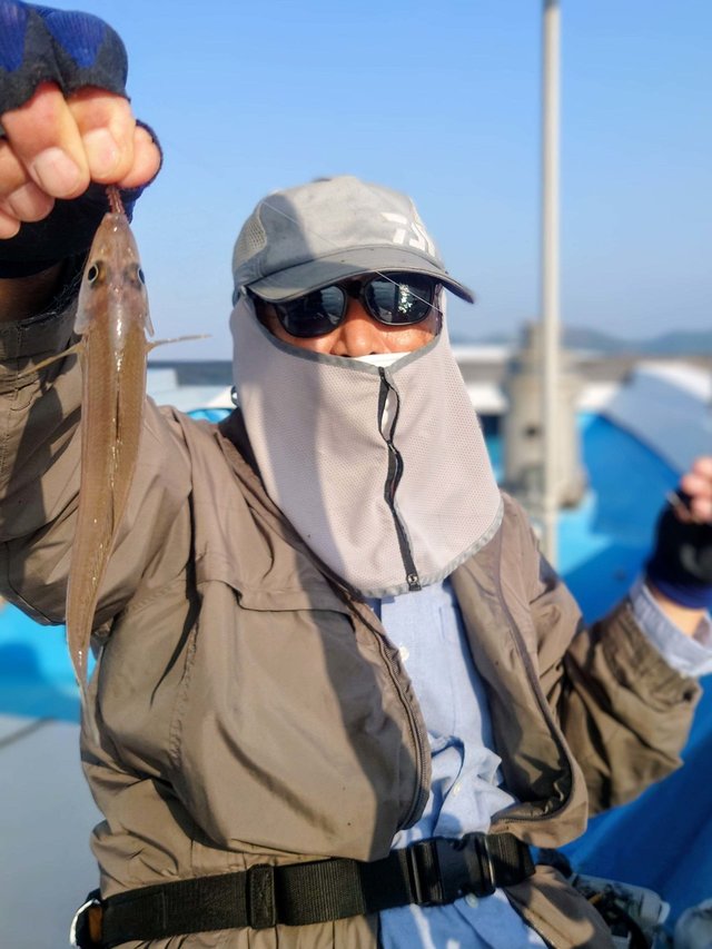 シロギス