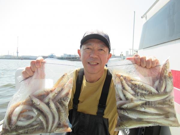 シロギス