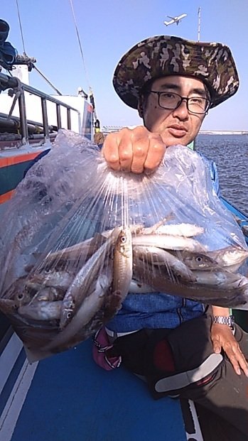 シロギス