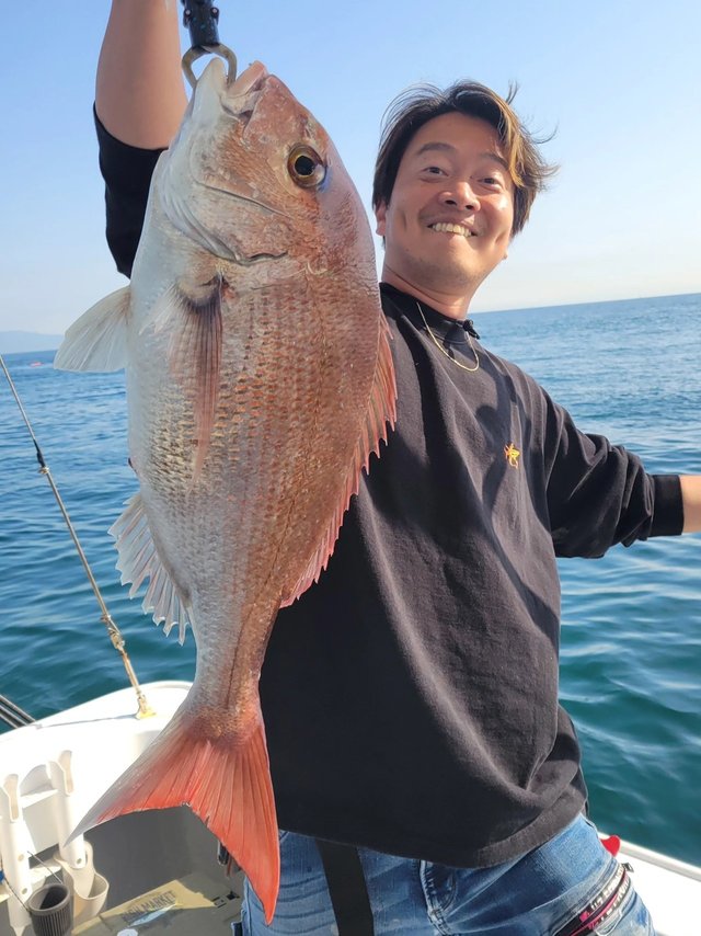 マダイ