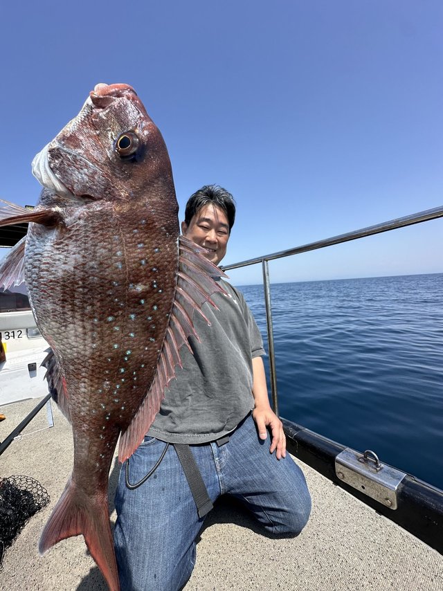 マダイ