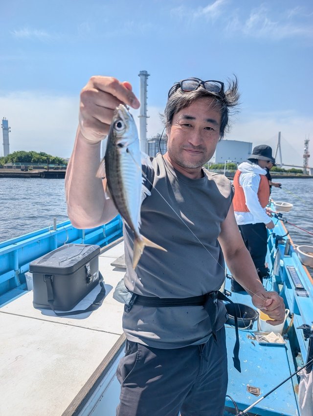 アジ(マアジ)