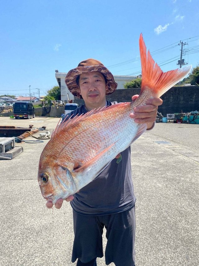 マダイ