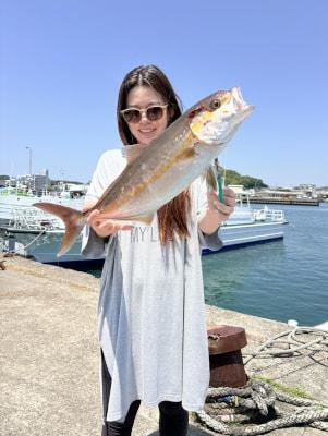 カンパチ