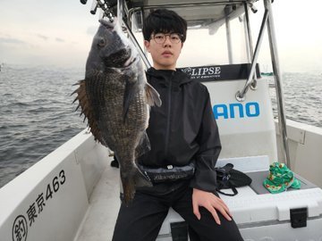 クロダイ