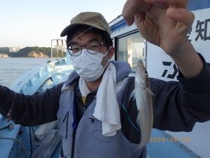 シロギス
