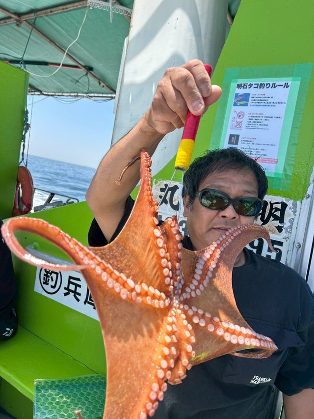タコ(マダコ)