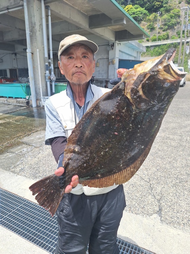 ヒラメ
