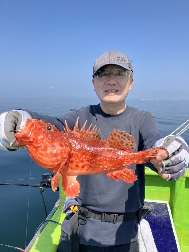 オニカサゴ