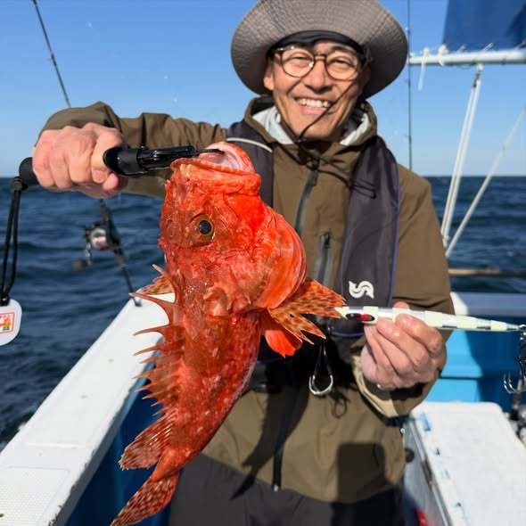 オニカサゴ