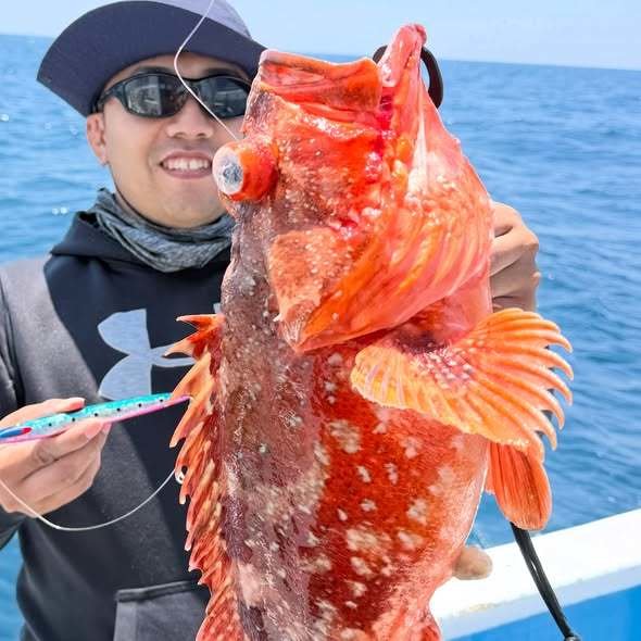 ウッカリカサゴ