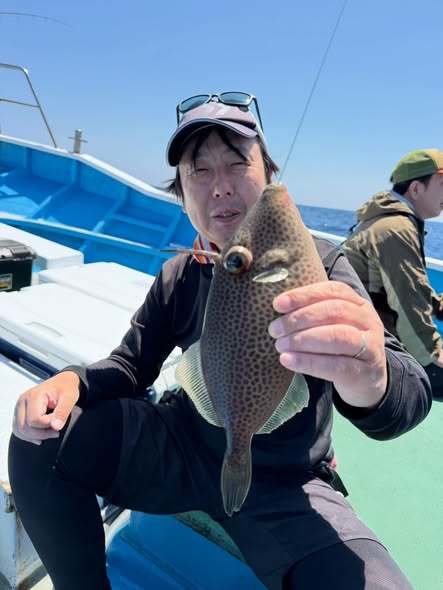 ゴイシウマヅラハギ