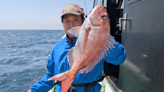 マダイ