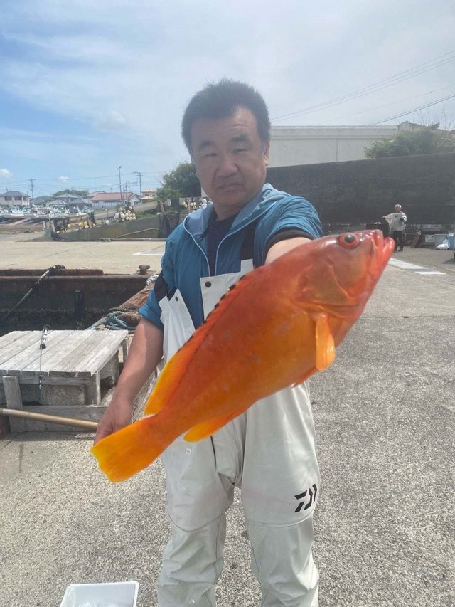 アカハタ