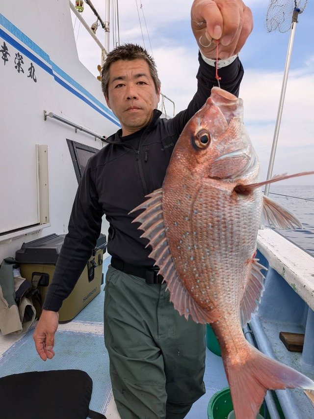 マダイ