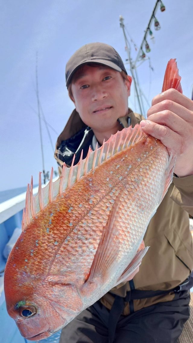 マダイ