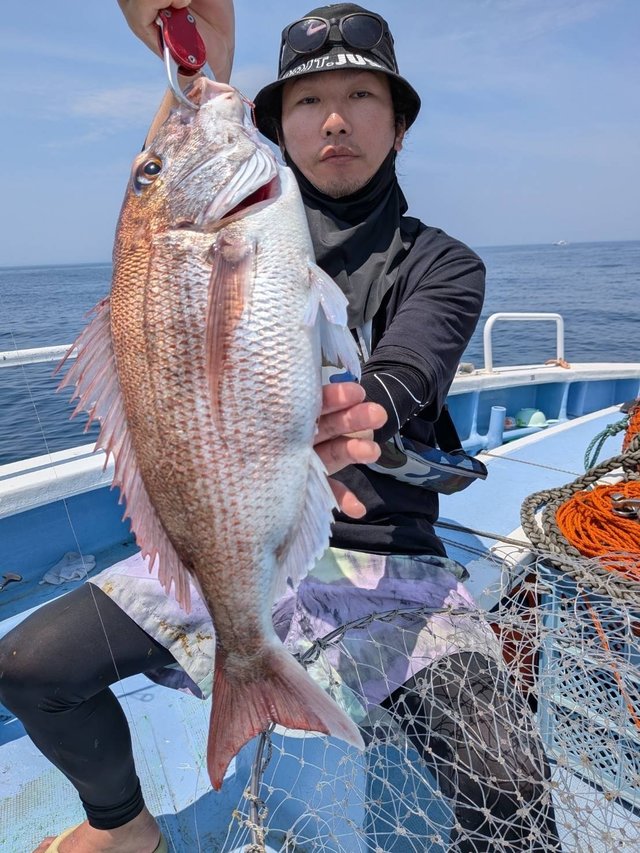 マダイ
