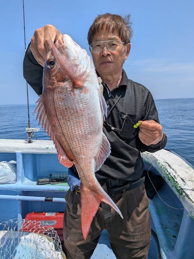 マダイ