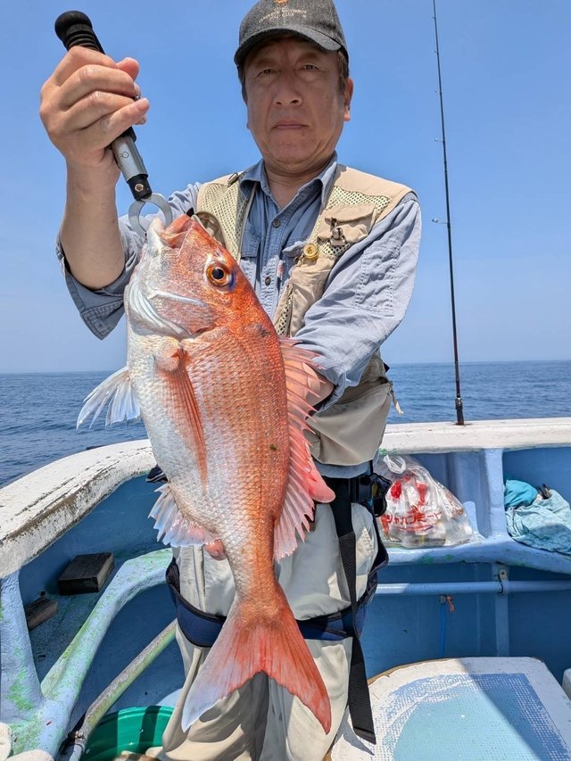 マダイ