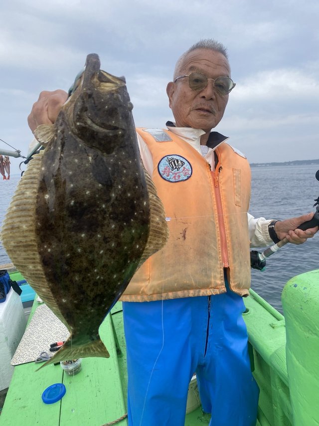 ヒラメ