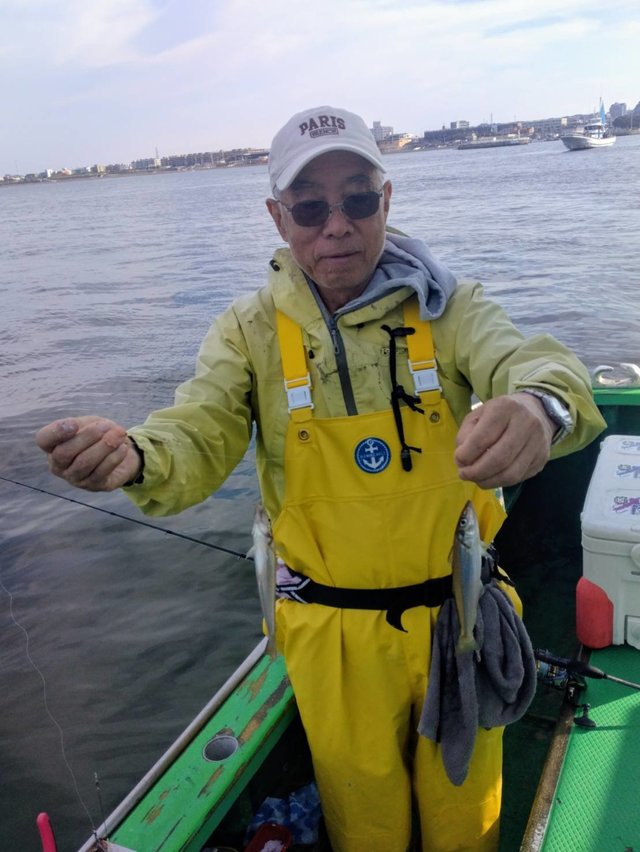 シロギス