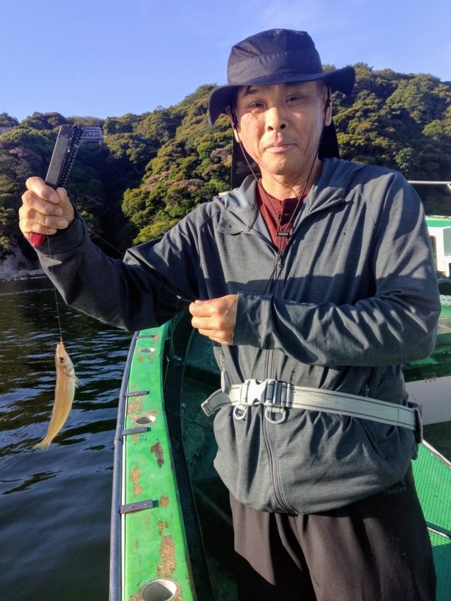 シロギス