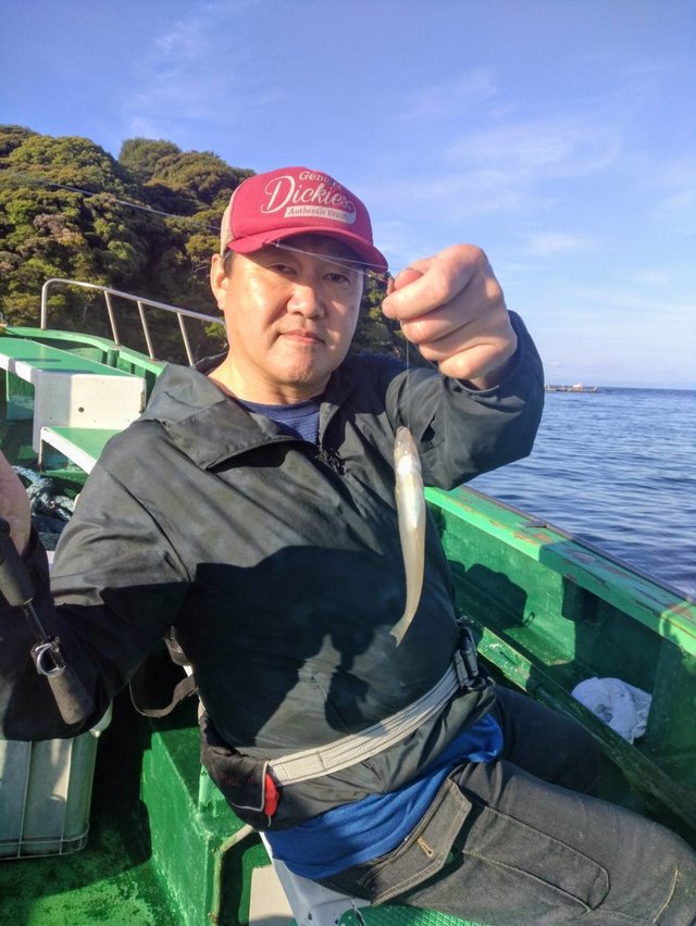 シロギス