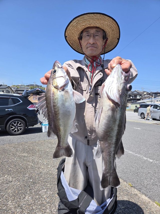 アラ