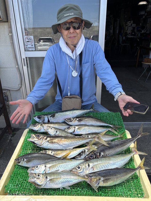 アジ(マアジ)
