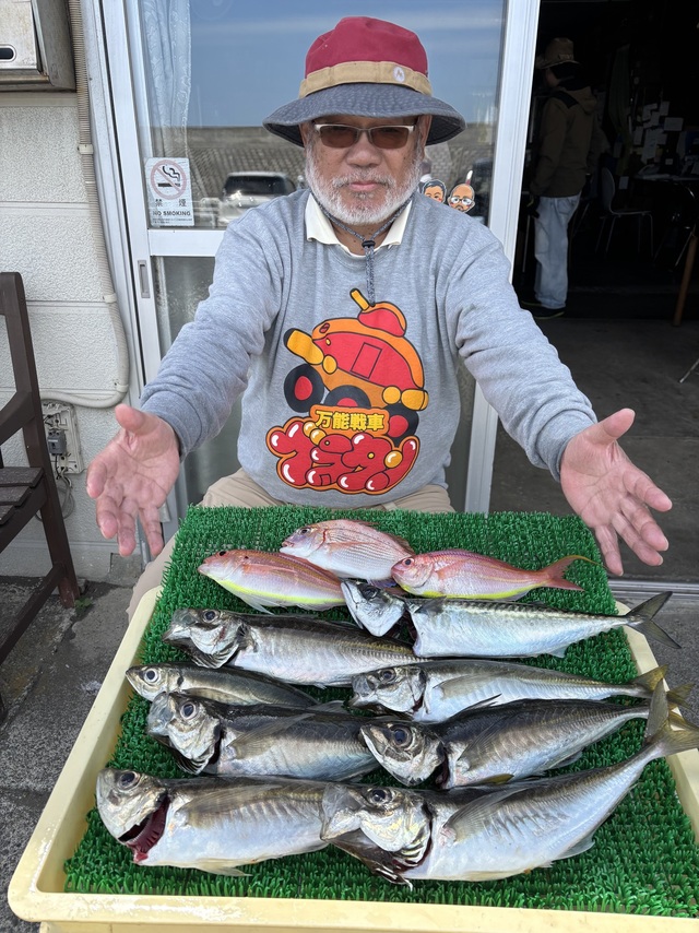 アジ(マアジ)