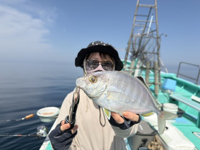 カイワリ