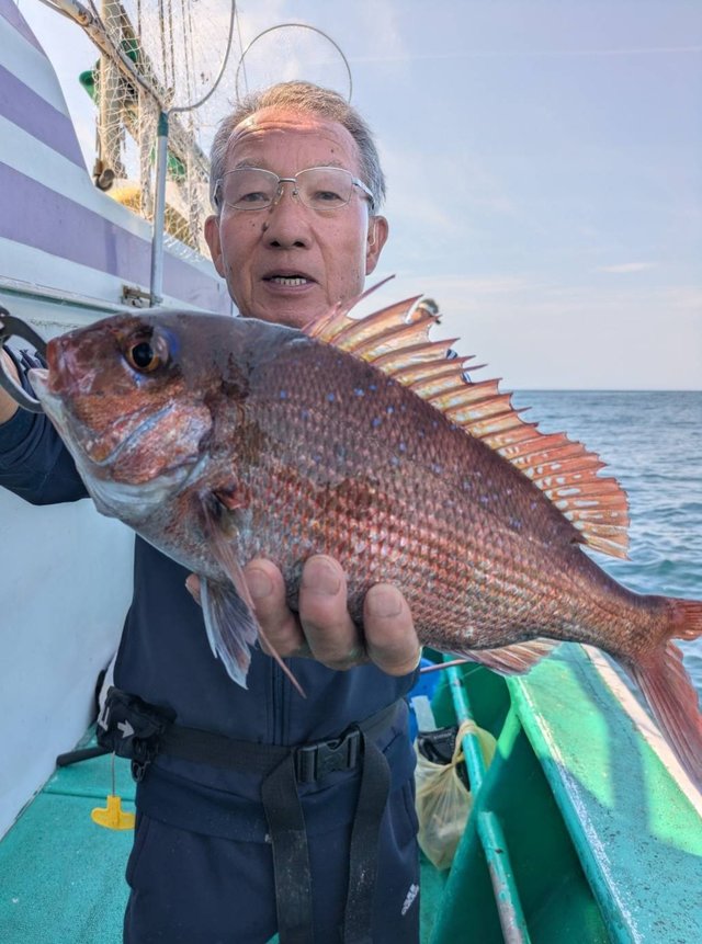 マダイ