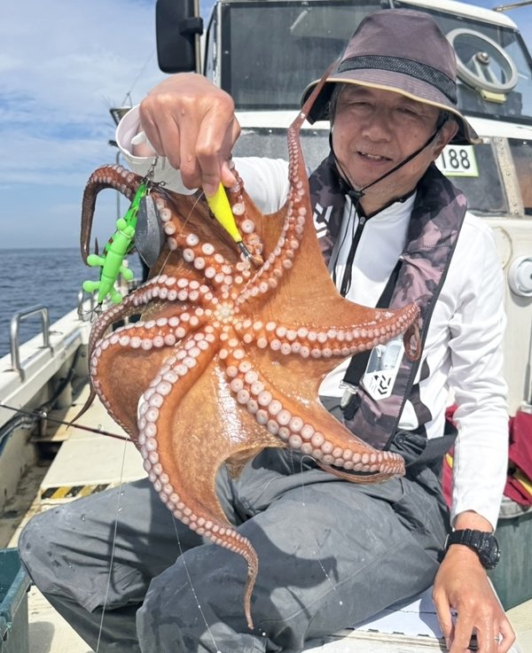 タコ(マダコ)