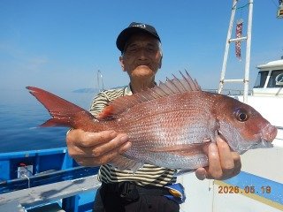 マダイ