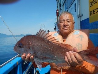 マダイ