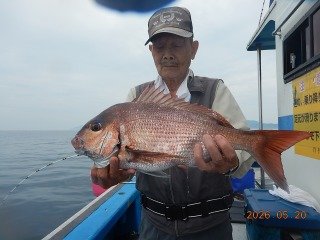 マダイ