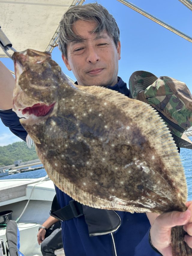 ヒラメ