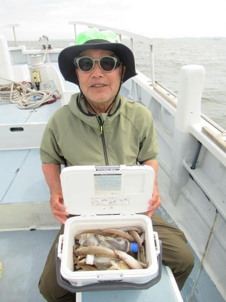 シロギス