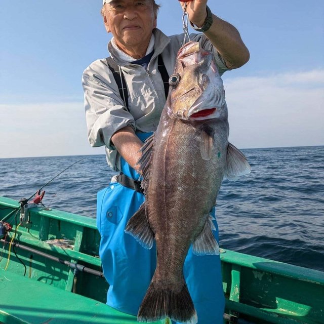 アラ
